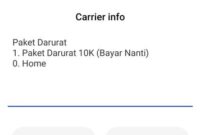  Cara Pinjam Pulsa Darurat XL Lewat MyXL
