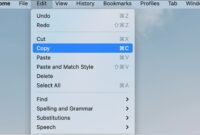 copy paste di laptop windows