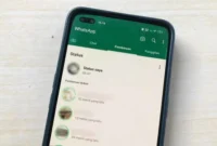 cara melihat status wa yang di privasi