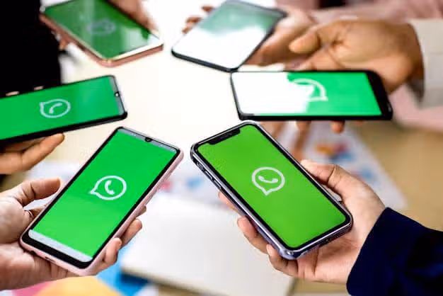 img 20240125 wa0001 5c238e04022a87d2189299c15384a10e