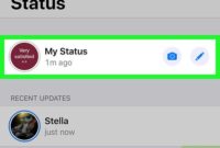 cara melihat status wa yang di privasi