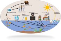 cara penulisan microplastic dalam bahasa Inggris